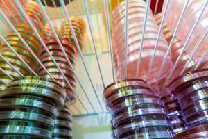 Incubator